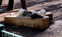 DSCF1374